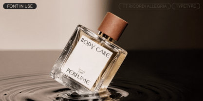 TT Ricordi Allegria Font Poster 13