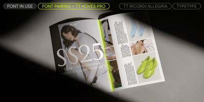 TT Ricordi Allegria Font Poster 11