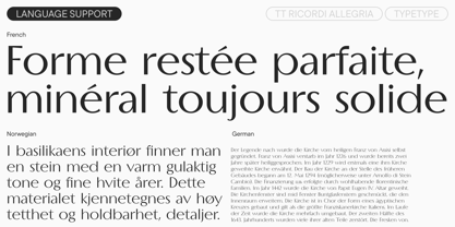 TT Ricordi Allegria Font Poster 8