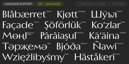 TT Ricordi Allegria Font Poster 7