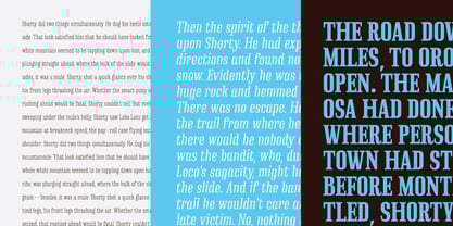 Instrumental Font Poster 6