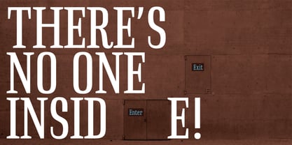 Instrumental Font Poster 5