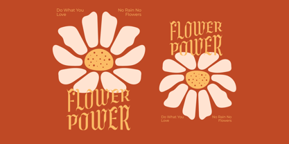 Wadepak Font Poster 13