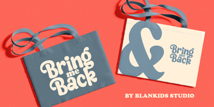 Angel Winkle Font Poster 10