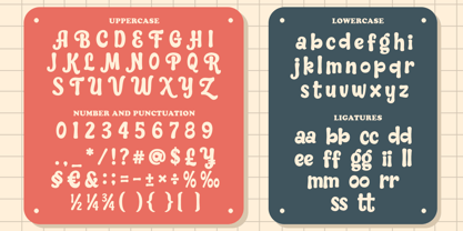 Angel Winkle Font Poster 11