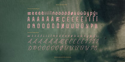 Sunwave Tropika Bay Script Font Poster 11