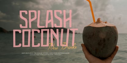 Sunwave Tropika Bay Script Font Poster 3
