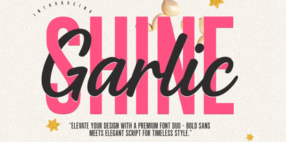 Garlic Shine Font Poster 1