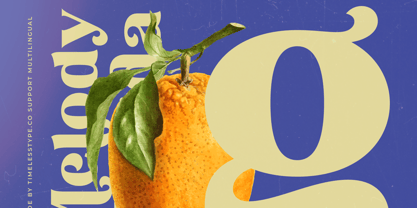 Melody Kingda Font Poster 6