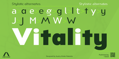 Nsai Pro Font Poster 7