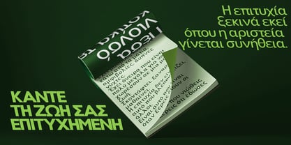 Nsai Pro Font Poster 13