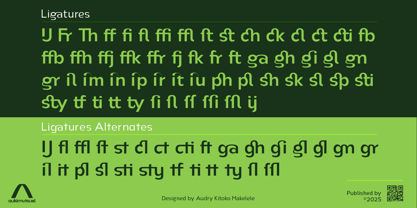 Nsai Pro Font Poster 8