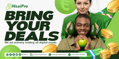 Nsai Pro Font Poster 14