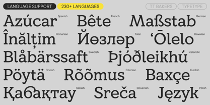 TT Bakers Font Poster 7