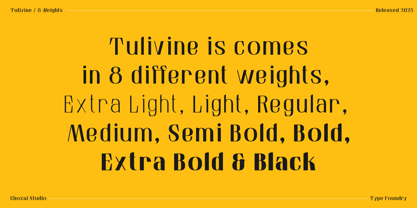 Tulivine Sans Font Poster 2