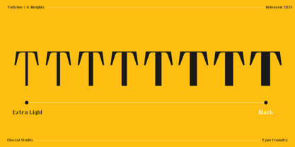 Tulivine Sans Font Poster 3