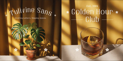 Tulivine Sans Font Poster 6