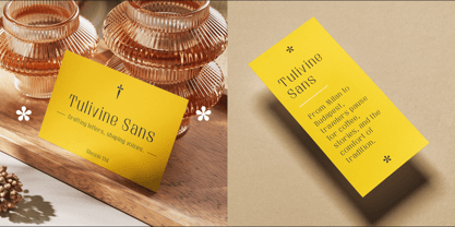 Tulivine Sans Font Poster 7