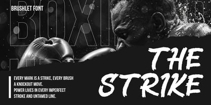 Brushlet Font Poster 3