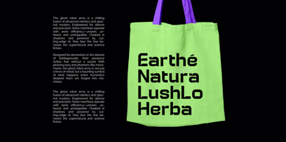 Hurst Bagod Font Poster 8