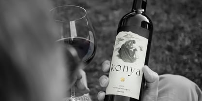 Corigo Font Poster 3