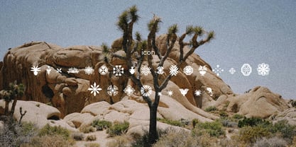 Corigo Font Poster 6