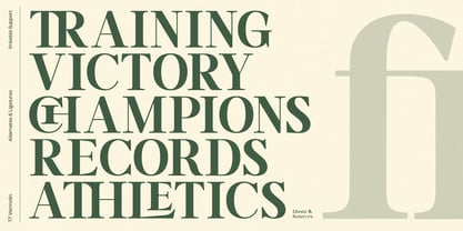 TRT Vermolin Font Poster 7