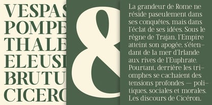 TRT Vermolin Font Poster 5