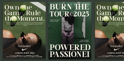 TRT Vermolin Font Poster 9