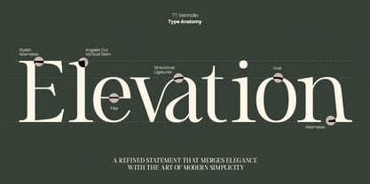 TRT Vermolin Font Poster 10