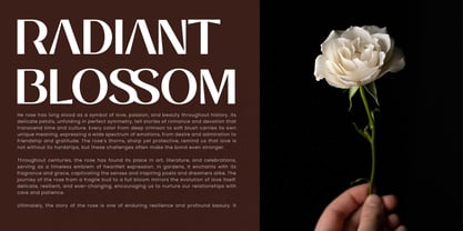 Balvier Font Poster 4