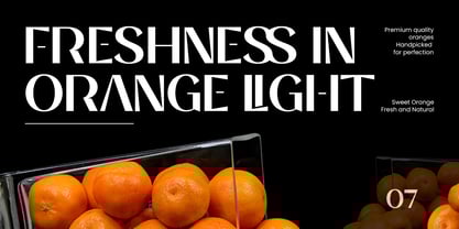 Balvier Font Poster 12