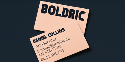 Boldric Font Poster 10
