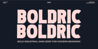 Boldric Font Poster 1