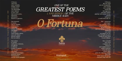 Poetria Font Poster 14
