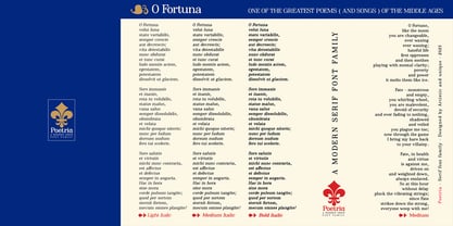 Poetria Font Poster 15