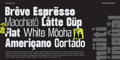 TRT Unamo Font Poster 15