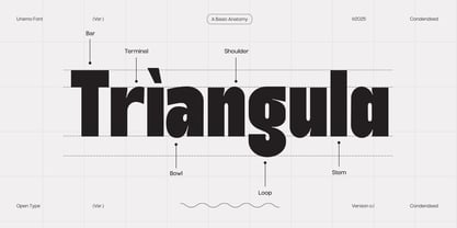 TRT Unamo Font Poster 4