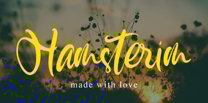 Hamsterim Font Poster 1