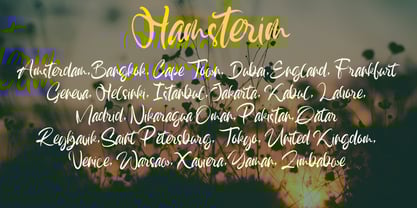 Hamsterim Font Poster 4