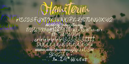 Hamsterim Font Poster 3