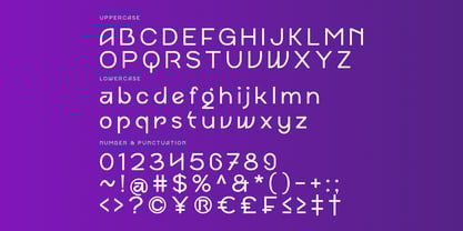 Ragtev Font Poster 10