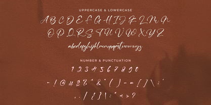 Ving Winston Font Poster 7