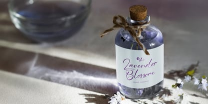 Ving Winston Font Poster 5