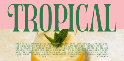 Holiday Foreste Font Poster 6