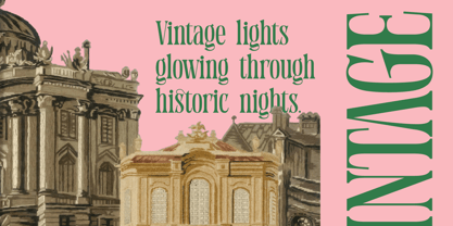 Holiday Foreste Font Poster 9