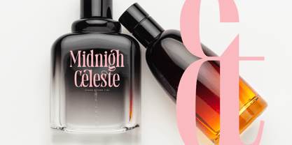 Holiday Foreste Font Poster 4