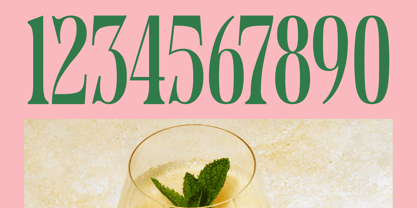 Holiday Foreste Font Poster 14