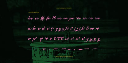 Record Struggle Script Font Poster 12