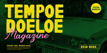 Record Struggle Script Font Poster 2